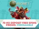 Riobet Casino No Deposit Free Spins