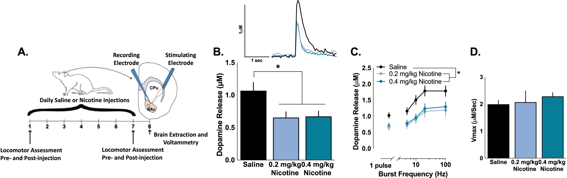 Dopamine release